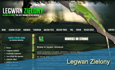 Legwan Zielony