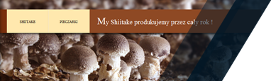 Produkcja grzybów Shiitake